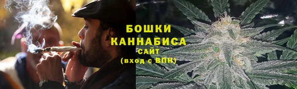 PSILOCYBIN Елизово